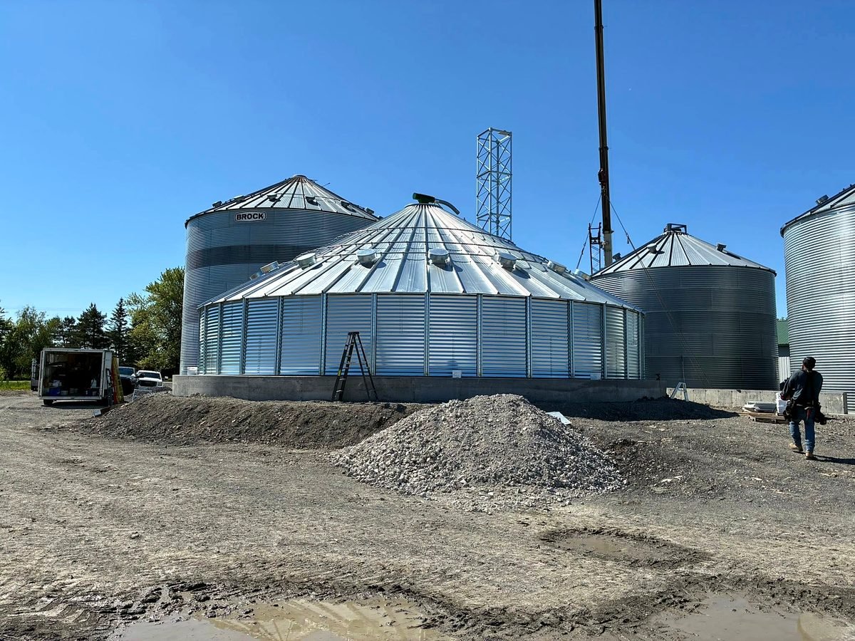 Le même silo, quelques rangs plus haut.